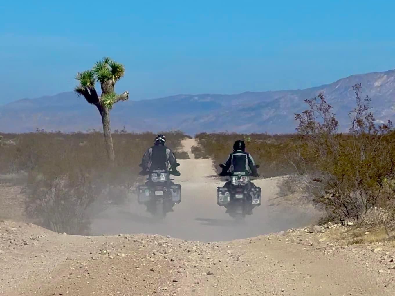 Starfire Ranch Joshua Tree Campout - Nov 13-16, 2025